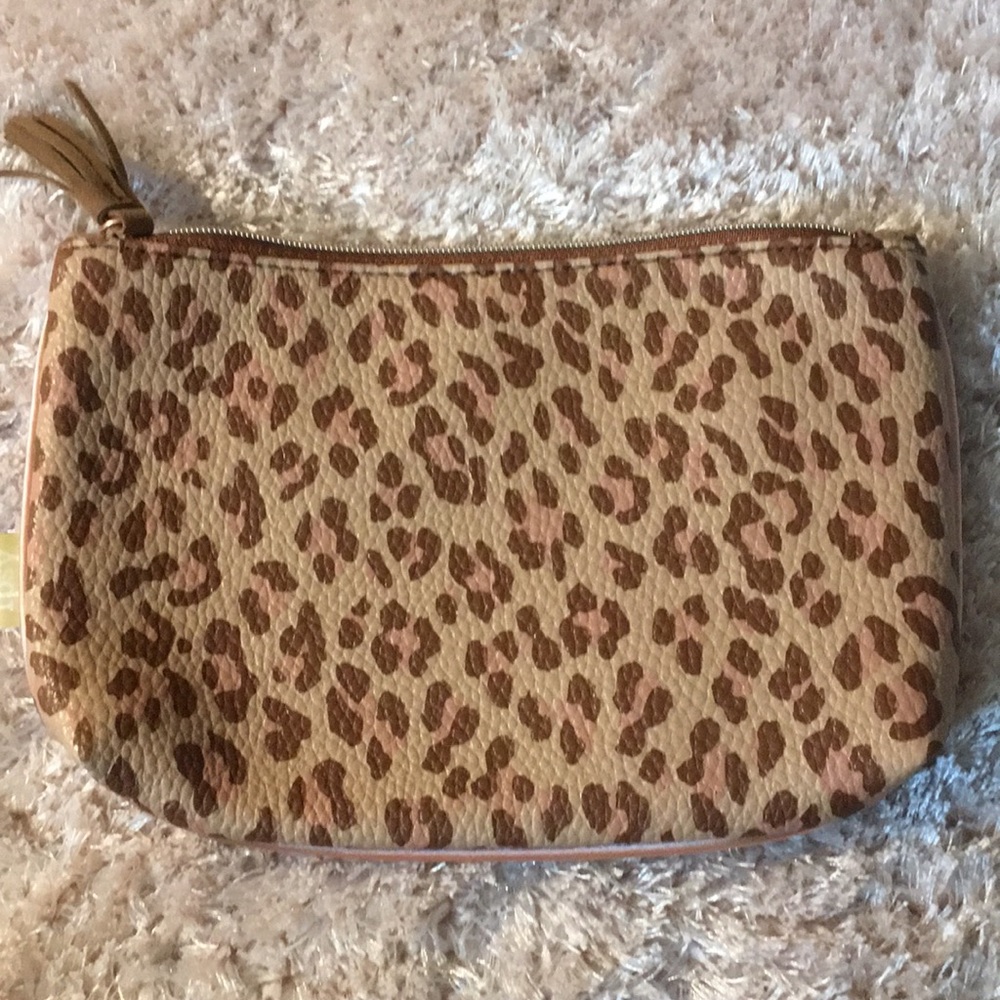 Mini Makeup clutch